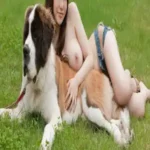 Cerita Seks Bestiality Vania Bride of The Dog